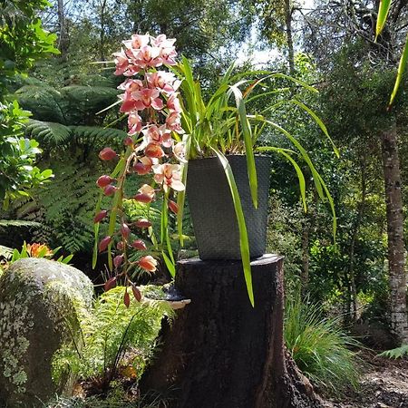 Warblers Retreat Villa Auckland Exterior foto